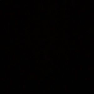 Meet your Posher, Riley